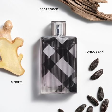 Burberry Brit  EDT Perfume For Him    100ml