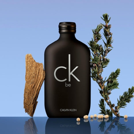 Calvin Klein CK be Black EDT Perfume   200ml