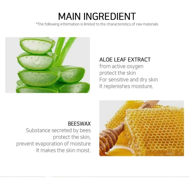 LEBELAGE Aloe Cleansing Facial Foam 100ml