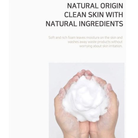 LEBELAGE Aloe Cleansing Facial Foam 100ml
