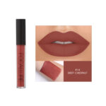 Focallure Waterproof Matte Liquid Lipstick 14 Deep Chestnut (Fa24)