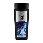 Gatsby Shocking Ice Wave Body Wash 250ml