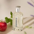 Tommy Hilfiger EDT for Men   100ml - Image 2